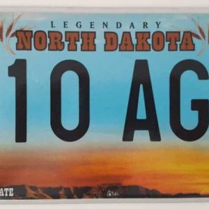 Dakota du nord_A1 Plaque d'immatriculation americaine swap meet