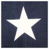 Drapeau américain avec mat et aigle