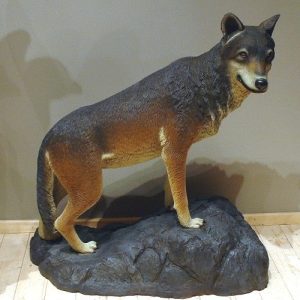 Loup Sur Rocher Statue Grandeur Nature St2526