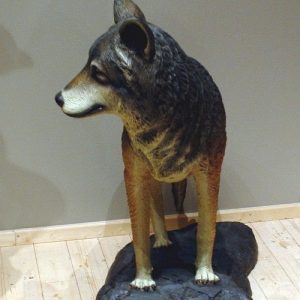 Loup Sur Rocher Statue Grandeur Nature St2526 1