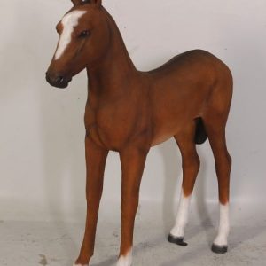 Poulain Marron Taille Reelle Western Equitation Su Ach2