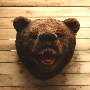 TÊTE D'OURS Moulage résine avec poils synthétiques