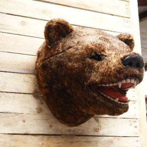 TÊTE D'OURS Moulage résine avec poils synthétiques