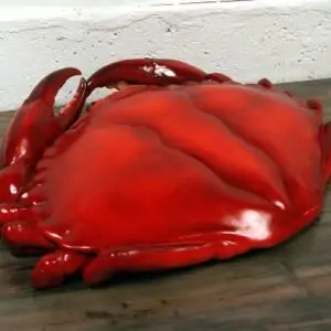 Crabe géant des mers des caraïbes