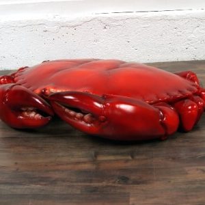 Crabe géant des mers des caraïbes