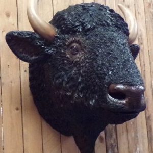 Tête de Bison. Moulage en résine et fibre de verre à accrocher au mur