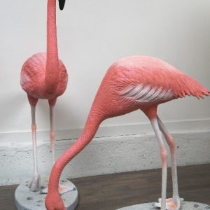 FLAMAND ROSE taille réelle