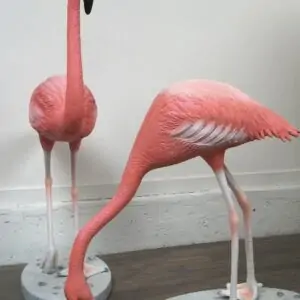 FLAMAND ROSE taille réelle