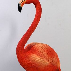 Flamand Rose Taille Reelle