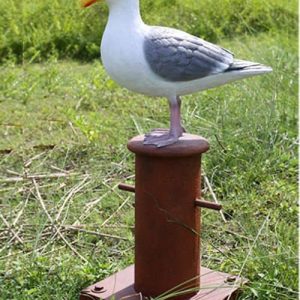 Mouette Sur Une Bitte D Amarrage 1