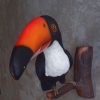 Toucan, oiseau d'Amazonie à fixer au mur