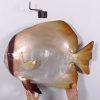 POISSON TROPICAL Moulage en résine et fibre de verre