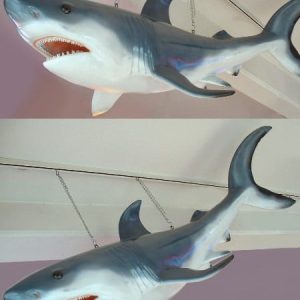 Requin 2m50 Decoration Plage Mer Ocean Moulage Taille Reelle En Resine Et Fibre De Verre Vente Et Location Evenementiel 1