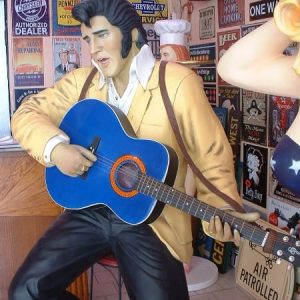 Elvis Guitar 1512 2