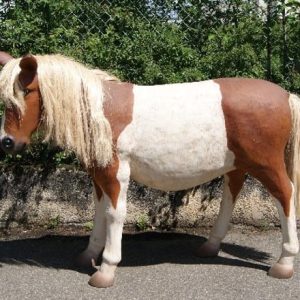 Western - Statue Poney Shetland