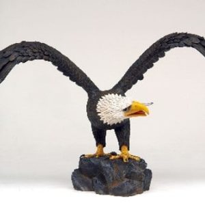 aigle americain 4