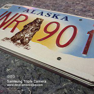 plaque d'immatriculation américaine alaska beer (relief)