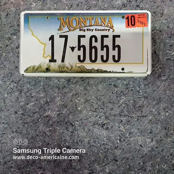 plaque d'immatriculation américaine montana (copie)