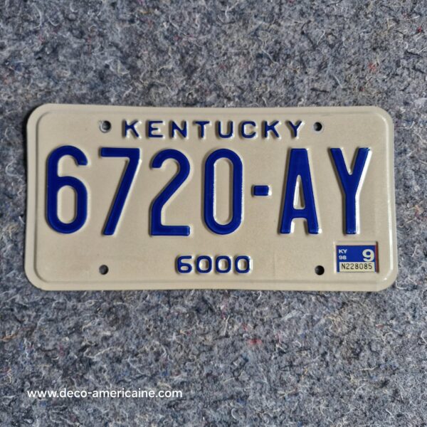 plaque d'immatriculation américaine kentucky bluegrass state horses "boyd" (relief)