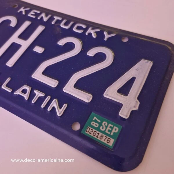 plaque d'immatriculation américaine kentucky (copie)