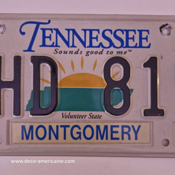 plaque d'immatriculation américaine tennessee (relief) anderson