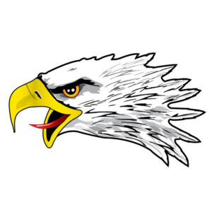 magnet made in usa eagle head
