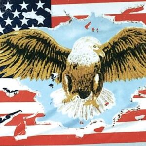 drapeau américain imprimé 152cm x 91cm usa eagle