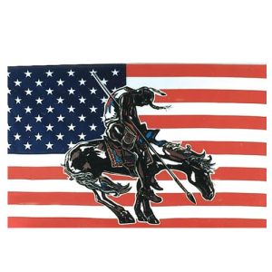 drapeau américain imprimé 152cm x 91cm end of trail native american tribute