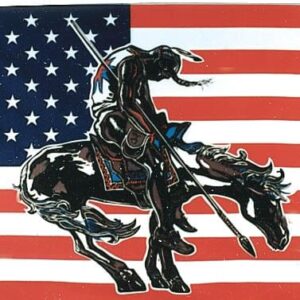 drapeau américain imprimé 152cm x 91cm usa eagle