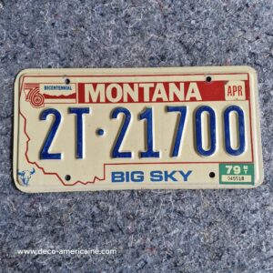 plaque d'immatriculation américaine montana big sky (relief) (copie)