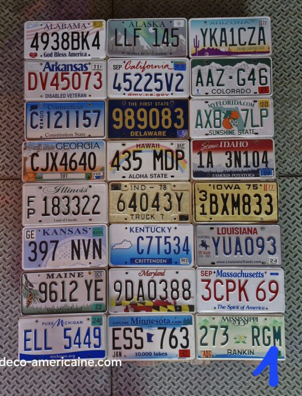 lot de plaques d'immatriculation des 50 etats américains collection complète (copie)