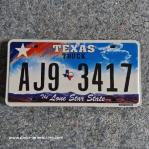 plaque d'immatriculation américaine texas cloud (copie)