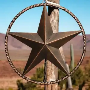 plaque murale en forme d'étoile, décoration style western en fonte, 16.5cm