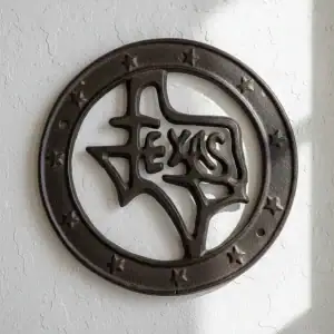 plaque murale en forme d'étoile, décoration style western en fonte, 16.5cm