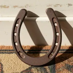 plaque murale en forme d'étoile, décoration style western en fonte, 16.5cm